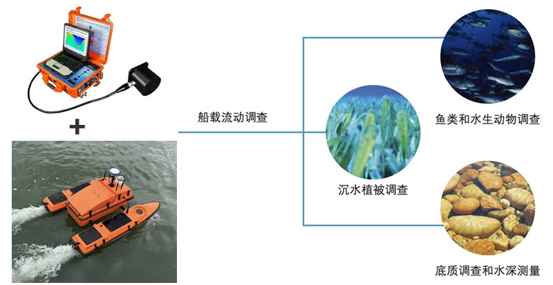 ECHO-USV-DTX2.jpg