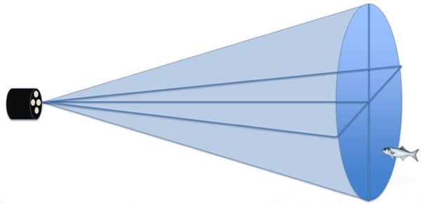 ECHO-USV-DTX61.jpg