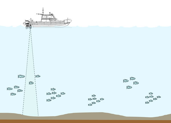 ECHO-USV-DTX62.jpg