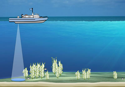 ECHO-USV-DTX81.jpg